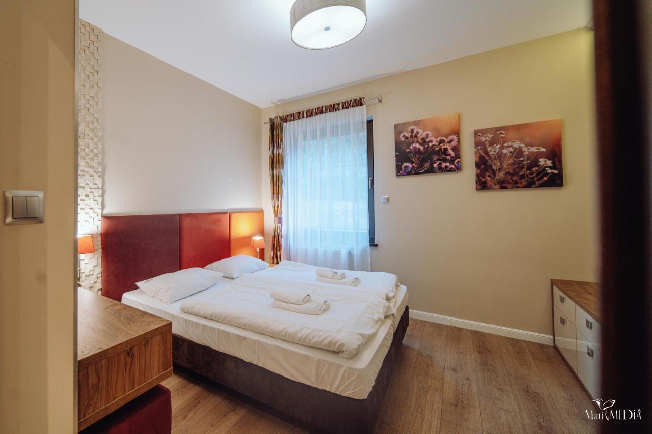 Dolina Wikingow Apartament Oye 09 Szklarska Poręba Buitenkant foto