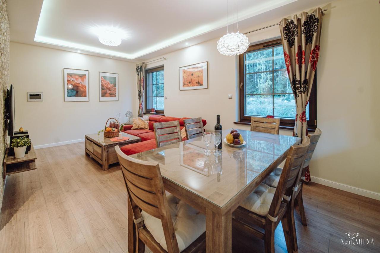 Dolina Wikingow Apartament Oye 09 Szklarska Poręba Buitenkant foto