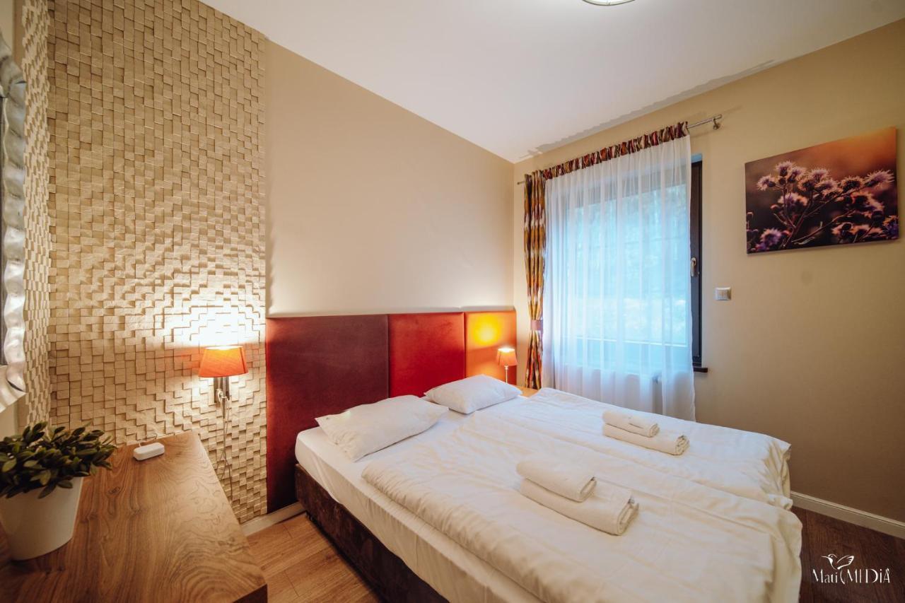 Dolina Wikingow Apartament Oye 09 Szklarska Poręba Buitenkant foto